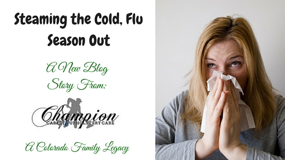 Steaming the Cold, Flu Season Out of Your Home and Business