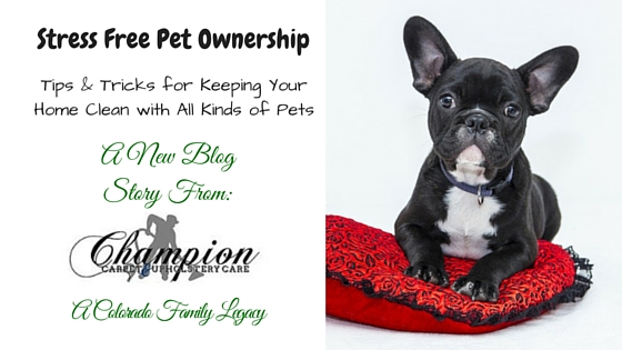 Champion - Stress Free Pet Ownership