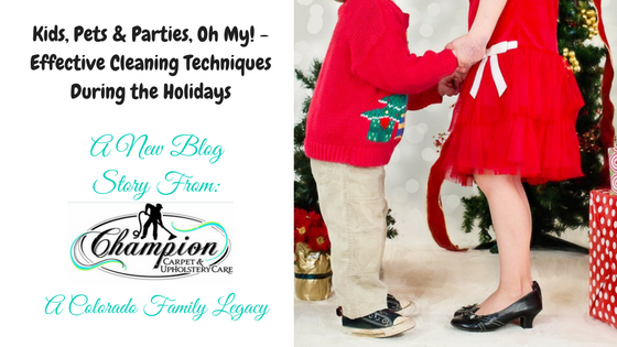 Kids, Pets & Parties, Oh My! - Effective Cleaning Techniques During the Holidays