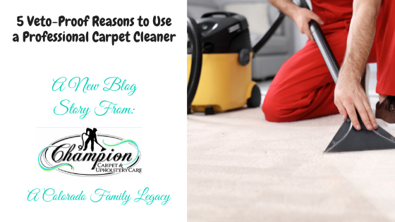 5 Veto-Proof Reasons to Use a Professional Carpet Cleaner