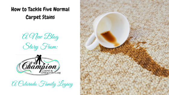 How to Tackle Five Normal Carpet Stains