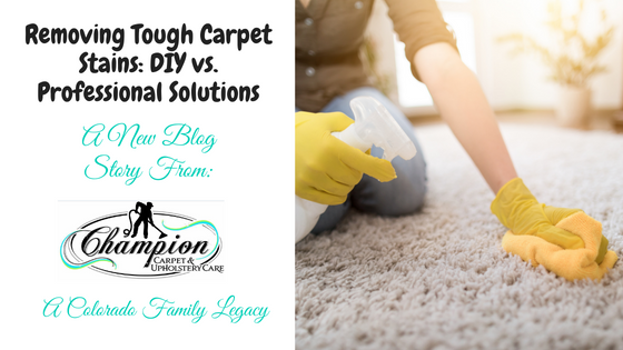 Removing Tough Carpet Stains: DIY vs. Professional Solutions