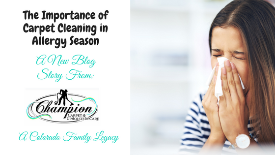 The Importance of Carpet Cleaning in Allergy Season