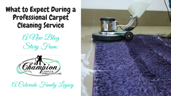 What to Expect During a Professional Carpet Cleaning Service