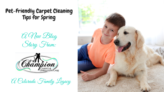 Pet-Friendly Carpet Cleaning Tips for Spring