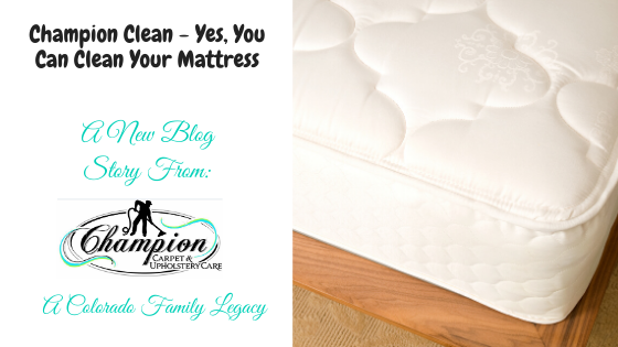 Champion Clean - Yes, You Can Clean Your Mattress