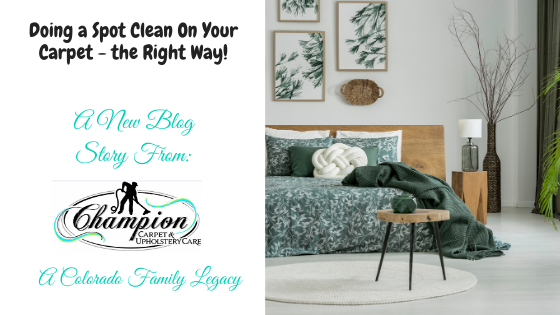 Doing a Spot Clean on Your Carpet - the Right Way!