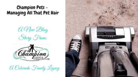 Champion Pets - Managing All That Pet Hair
