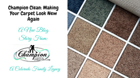 Champion Clean – Making Your Carpet Look New Again