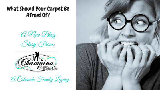 What Should Your Carpet Be Afraid Of?