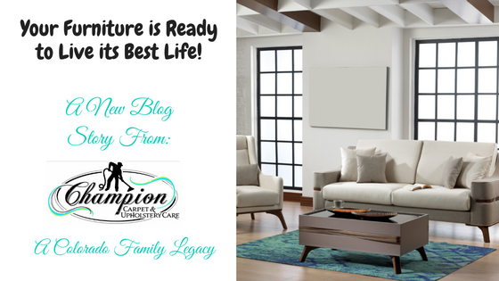 Your Furniture is Ready to Live its Best Life!