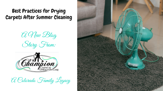 Best Practices for Drying Carpets After Summer Cleaning