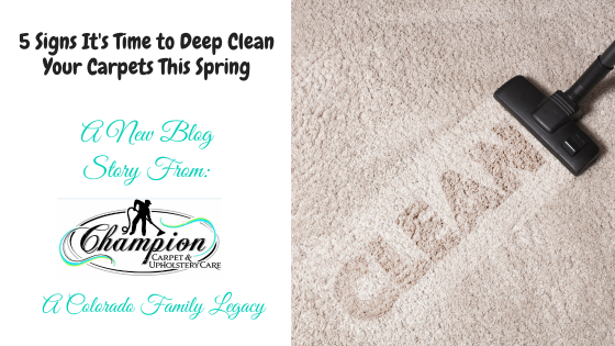 5 Signs It's Time to Deep Clean Your Carpets This Spring
