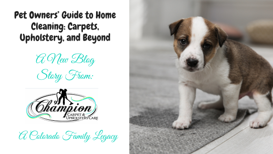 Pet Owners’ Guide to Home Cleaning: Carpets, Upholstery, and Beyond