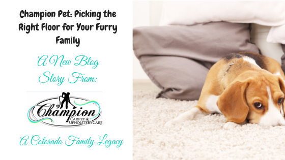 Champion Pet: Picking the Right Floor for Your Furry Family