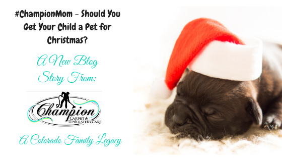 #ChampionMom - Should You Get Your Child a Pet for Christmas?